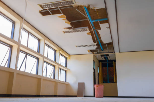 Best Water damage restoration cost  in Waihee Waiehu, HI