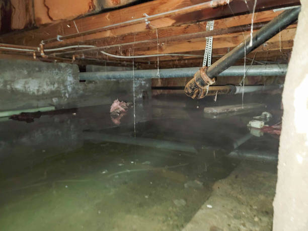 Water damage restoration process in Waihee Waiehu, HI