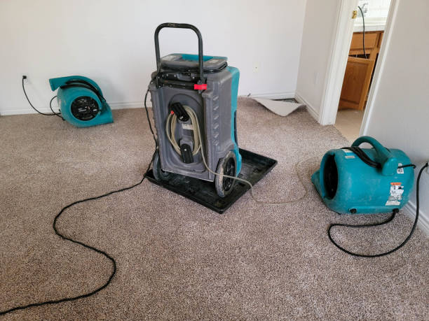 Best Commercial water damage restoration  in Waihee Waiehu, HI