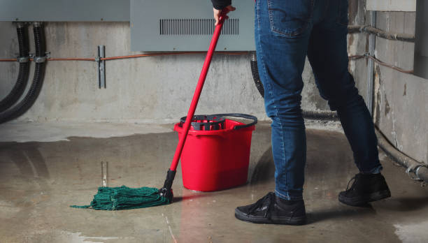 Best Water damage contractors near me  in Waihee Waiehu, HI
