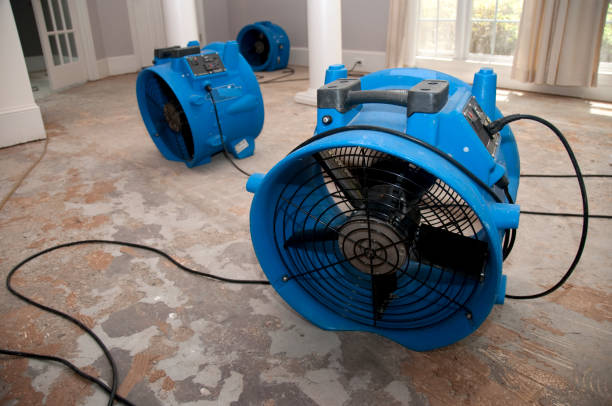Best Sewage cleanup and water damage restoration  in Waihee Waiehu, HI