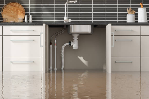 Best Water damage cleanup near me  in Waihee Waiehu, HI