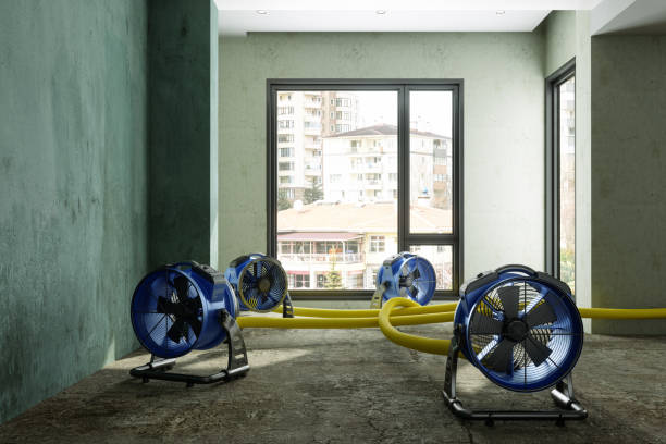 Best 24-hour water damage restoration  in Waihee Waiehu, HI